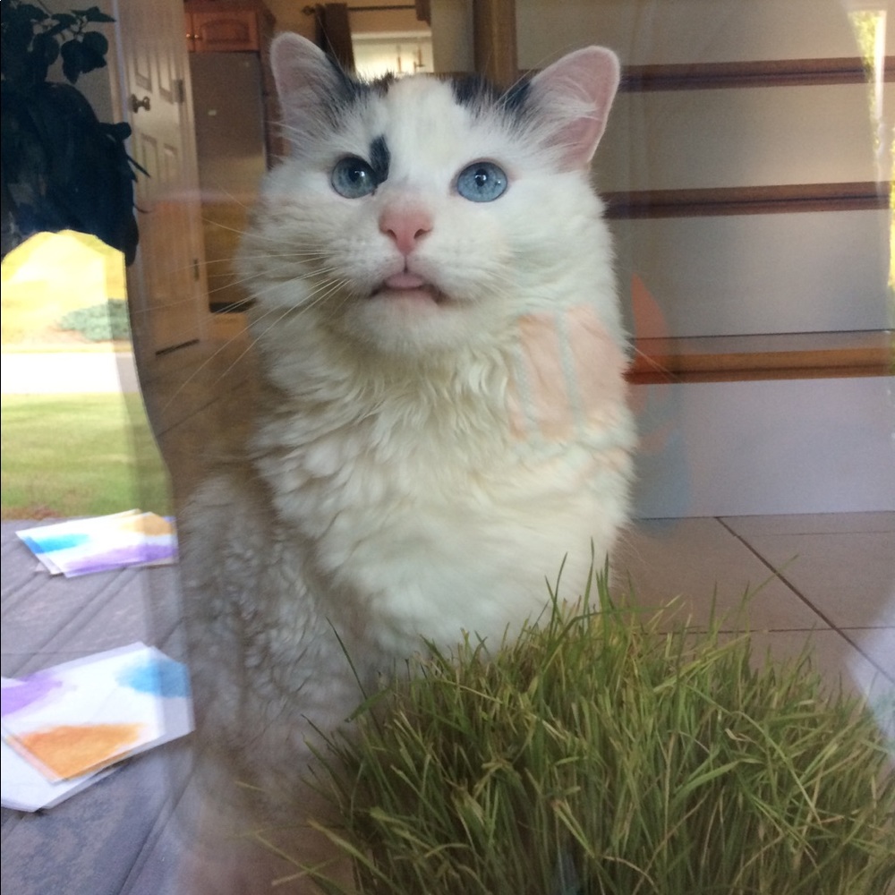 Meet your Posher, Steph